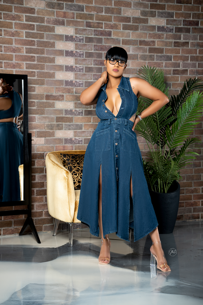 Brittany Denim Dress